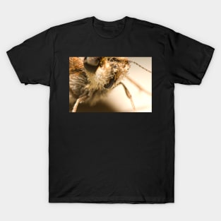 Skitter Butterfly T-Shirt